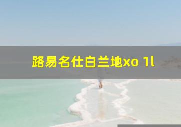 路易名仕白兰地xo 1l